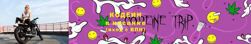 shop наркотические препараты  МЕГА как зайти  Пермь  Codein Purple Drank 